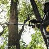 DCMASPS5N-XJ PSaw Attach 3